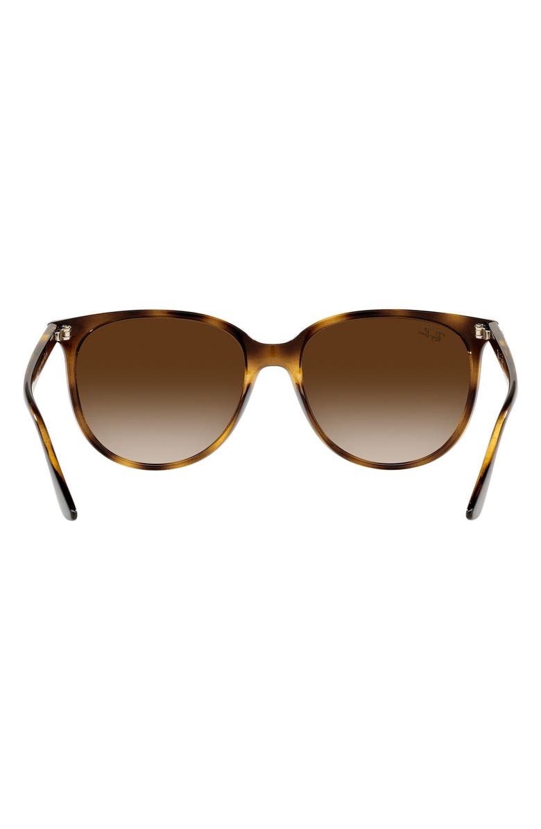 Ray-Ban 54mm Gradient Square Sunglasses, Alternate, color, Havana / Gradient Brown