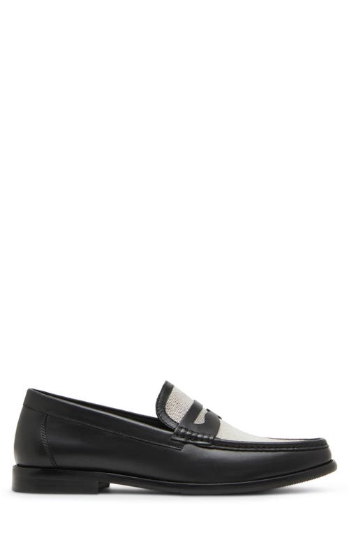 Steve Madden Westport Penny Loafer In Multi