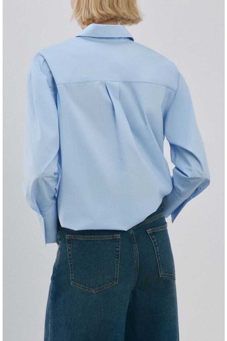 Embroidered Floral Button-Up Shirt, Alternate, color, SKY BLUE