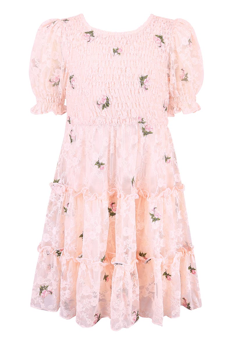Kids' Floral Embroidered Lace Tiered Dress, Main, color, BLUSH