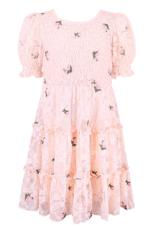 Kids' Floral Embroidered Lace Tiered Dress