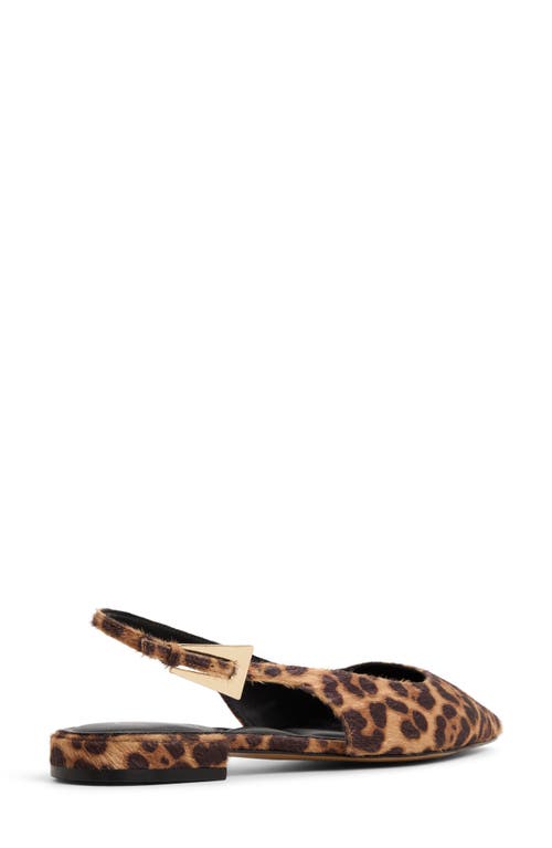 Aldo Kristell Pointed Toe Slingback Flat
