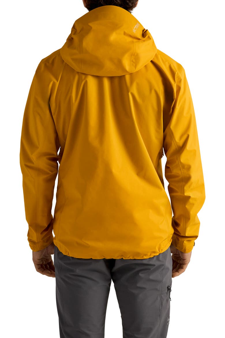 Beta SL GORE-TEX Hooded Jacket, Alternate, color, NUCLEUS