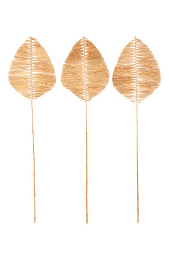 Sonoma Sage Home 3-piece Natural Dried Bamboo Leaf Foliage In Light Brown