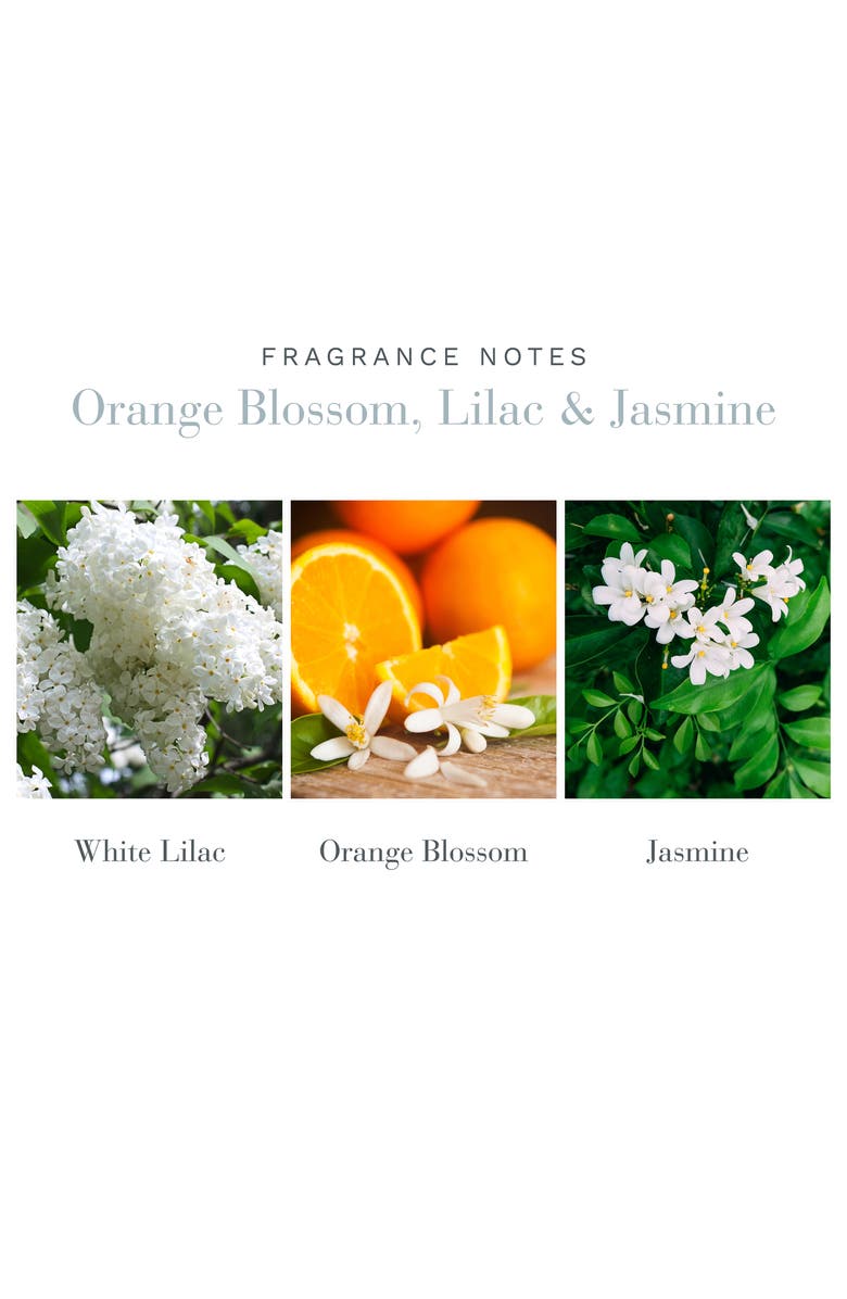 Antica Farmacista Orange Blossom, Lilac & Jasmine Home Ambiance Perfume, Alternate, color, 
