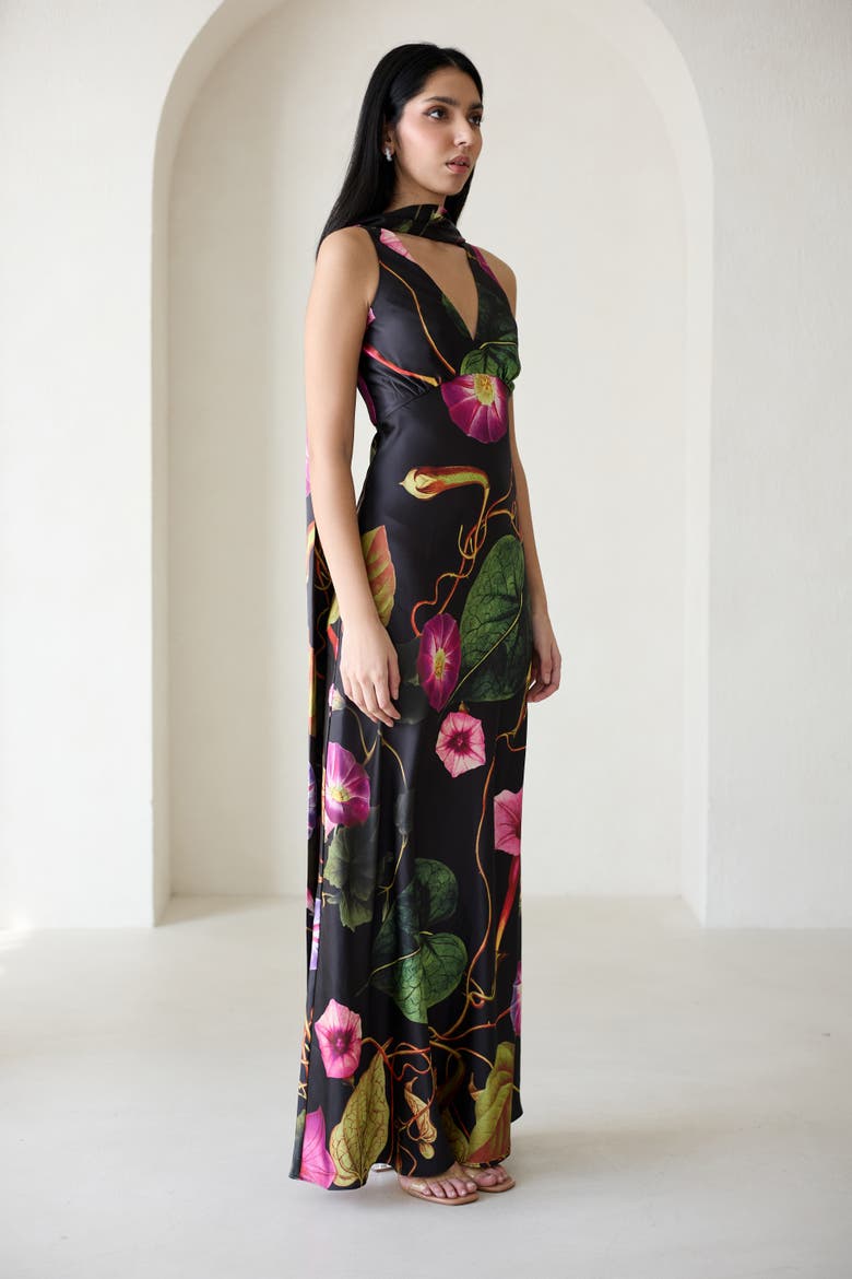 Catalina Silky Gown In Rafflesia, Alternate, color, Rafflesia Noir