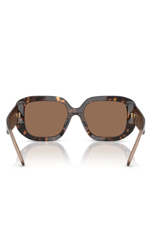 Tory Burch 54mm Irregular Sunglasses In Dark Tortoise/brown