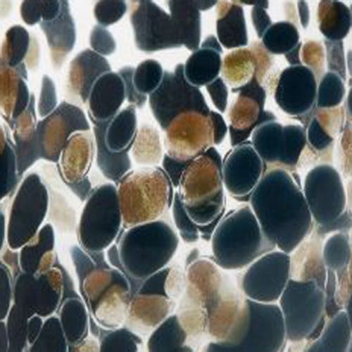 Tag Blue Denim Confetti Stemless Drinkware Set Of Six In Multi