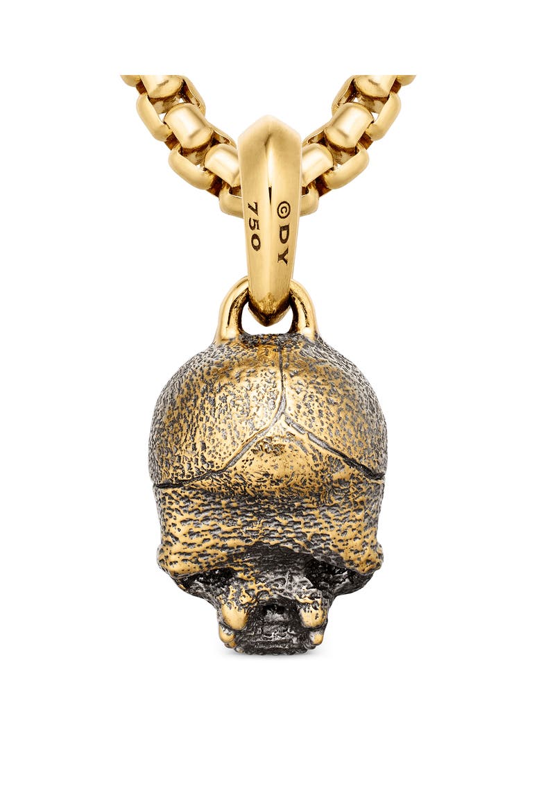Men's Memento Mori 18K Gold Skull Amulet, Alternate, color, GOLD
