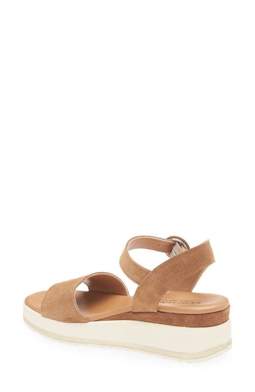 Cordani Arielle Ankle Strap Platform Wedge Sandal In Clove