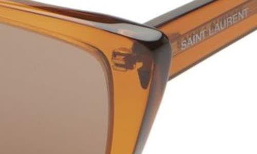 Saint Laurent Sunglasses With Cat-eye Frame In Nylon In Brown