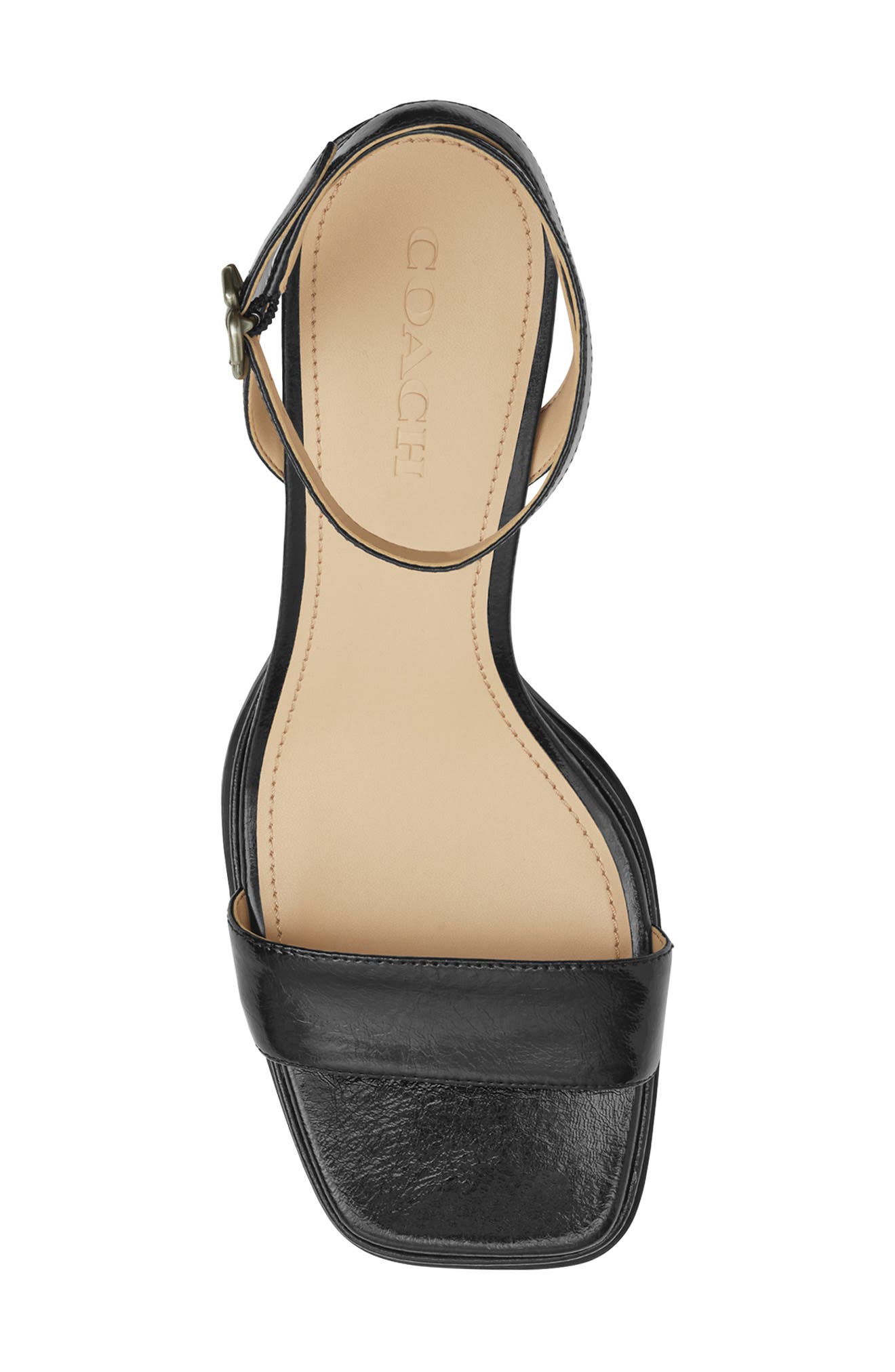 COACH Tea Rose Platform Sandal, Alternate, color, Black
