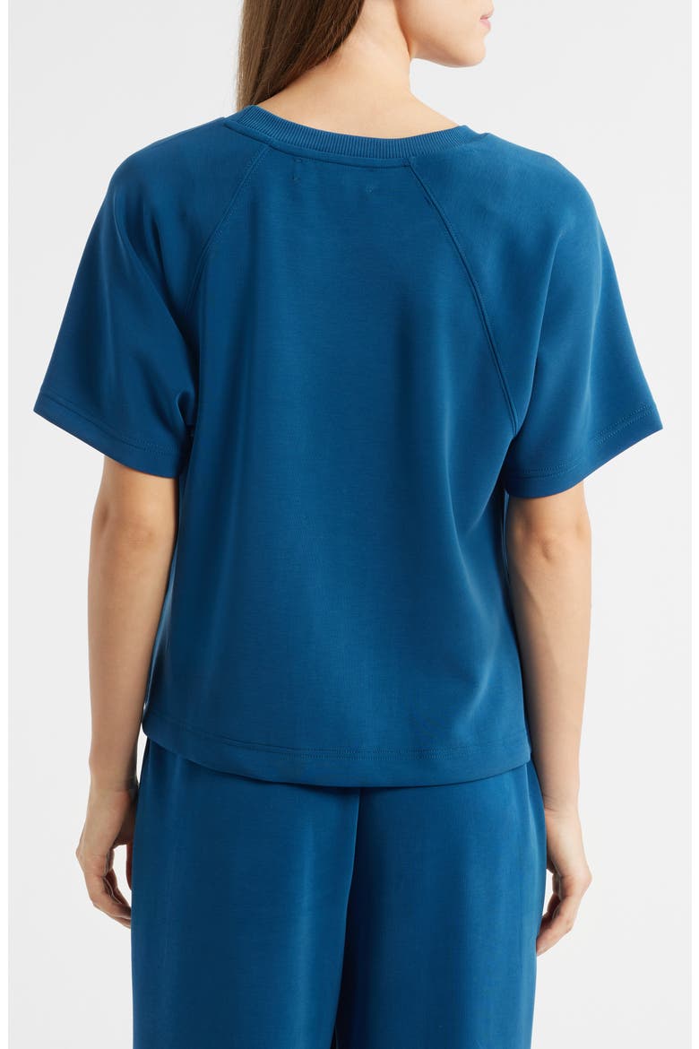 Raglan Sleeve T-Shirt, Alternate, color, BLUE OPAL