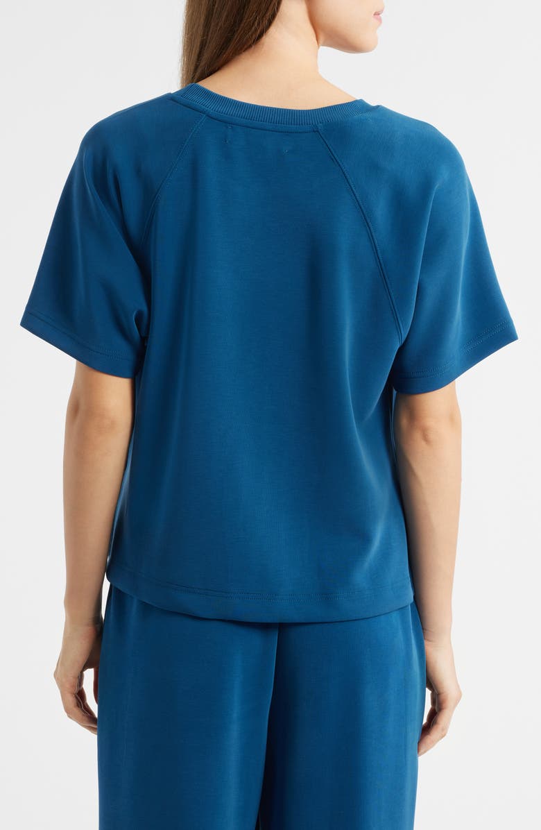 CITY BLUES Raglan Sleeve T-Shirt, Alternate, color, Blue Opal