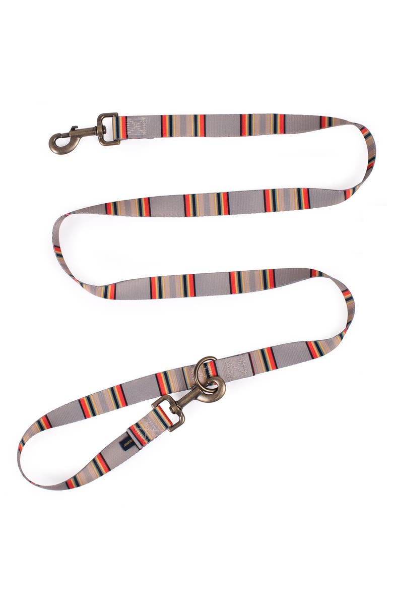 Pendleton Vintage Camp Adventure Leash, Alternate, color, Mineral Umber