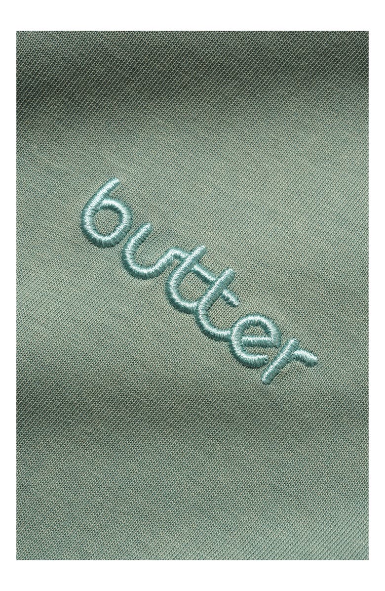 Butter Goods Alpine Logo T-Shirt, Alternate, color, Dull Mint