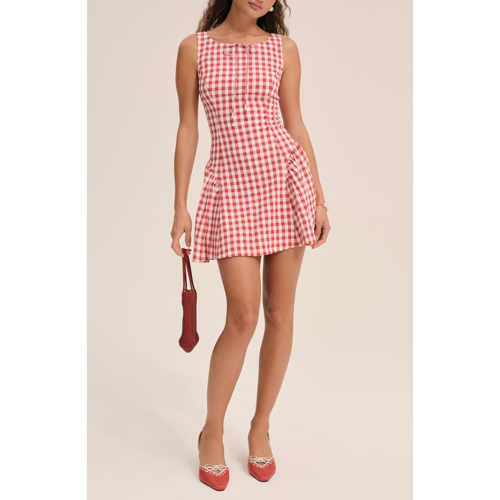 For Love & Lemons Scotch Bonnet Gingham Minidress In Pink