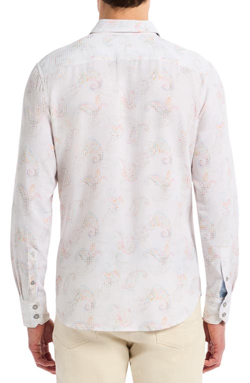 Robert Graham Alibon Long Sleeve Button Down Shirt Tall In White
