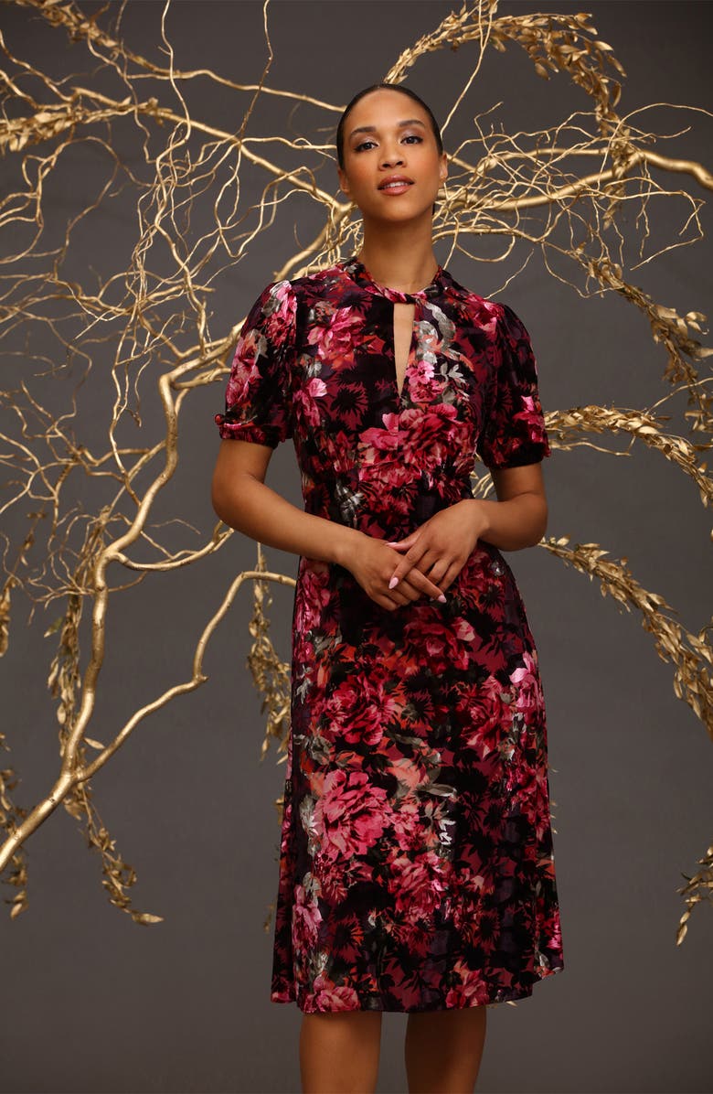 Maggy London Floral Velvet Midi Dress, Alternate, color,