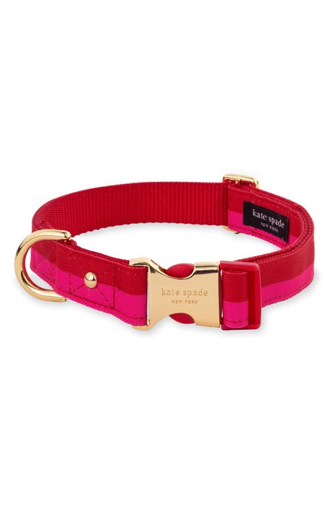 dog collar