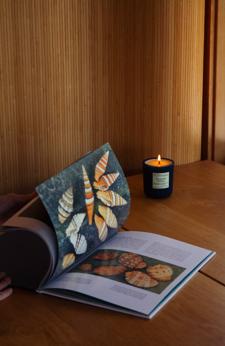 Summer Solace Tallow Vanilla Nectar and Peru Balsam Tallow and Beeswax Candle, Alternate, color, Blue-Green