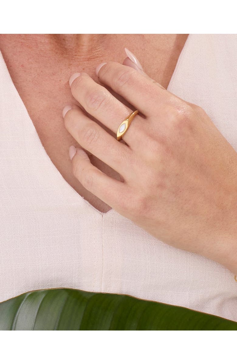 Sara Patino Calla Signet Pearl Ring, Alternate, color, Gold