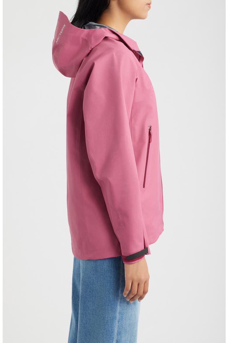 Beta Gore-Tex Waterproof Jacket, Alternate, color, LIGHT RENEGADE
