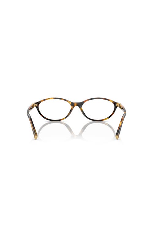Miu Miu 54mm Oval Optical Glasses In Brown