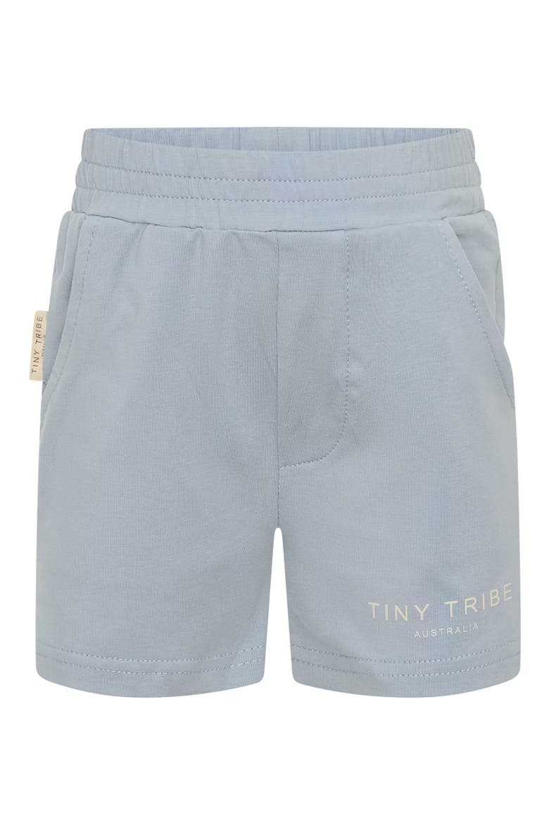 Core Stretch Cotton Shorts, Main, color, SLATE BLUE