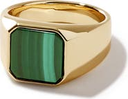 Ana Luisa Square Signet Ring - Michelle Signet
