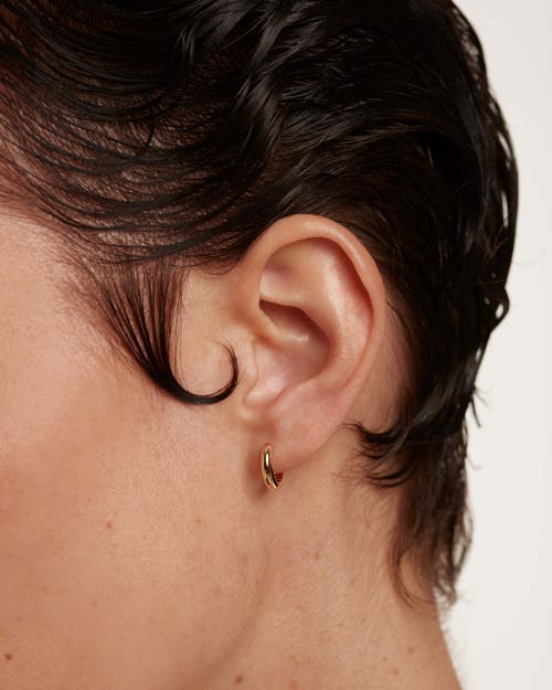 Pdpaola Gold Bold Mini Hoops