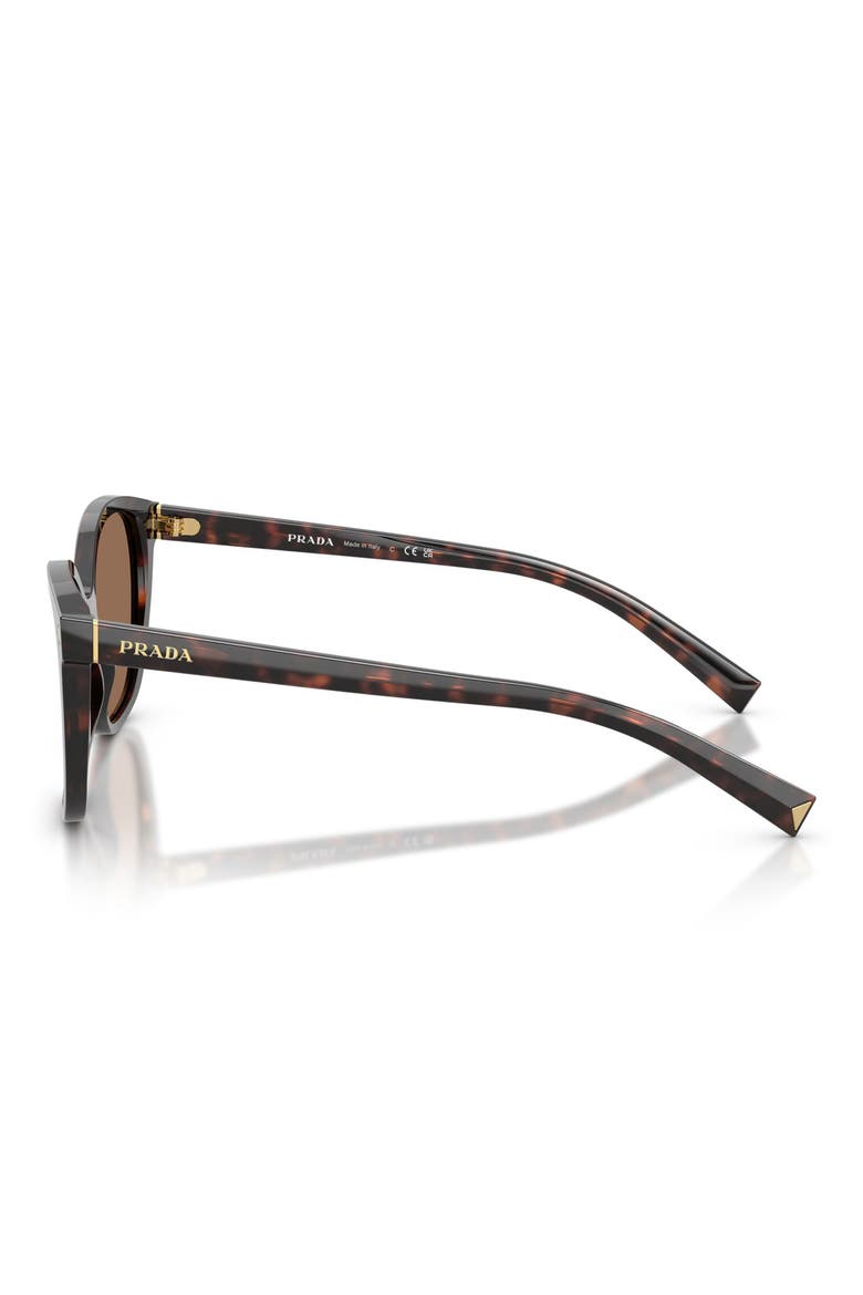 53mm Gradient Square Sunglasses, Alternate, color, ROOT TORTOISE / DARK BROWN