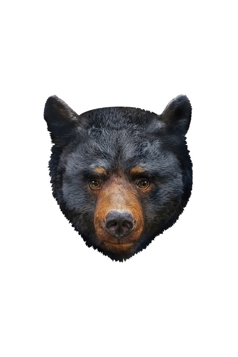 Furry Puzzle - Black Bear 48 Piece Jigsaw Puzzle, Alternate, color, Multicolor