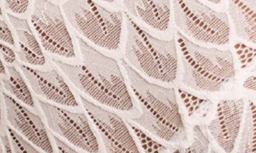 Montelle Intimates Lacey High Waist Lace Briefs In Chantilly
