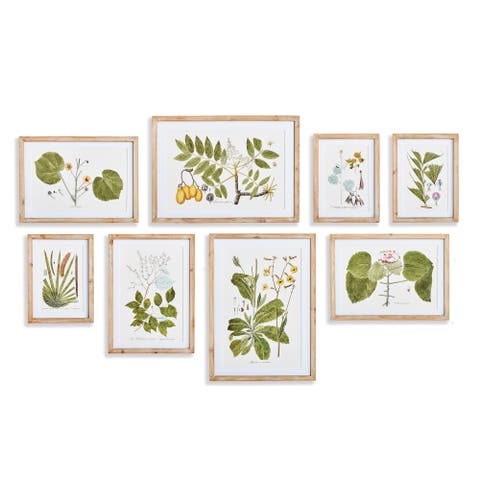 Flora And Fauna Gallery Prints Framed Wall Art Set of 8