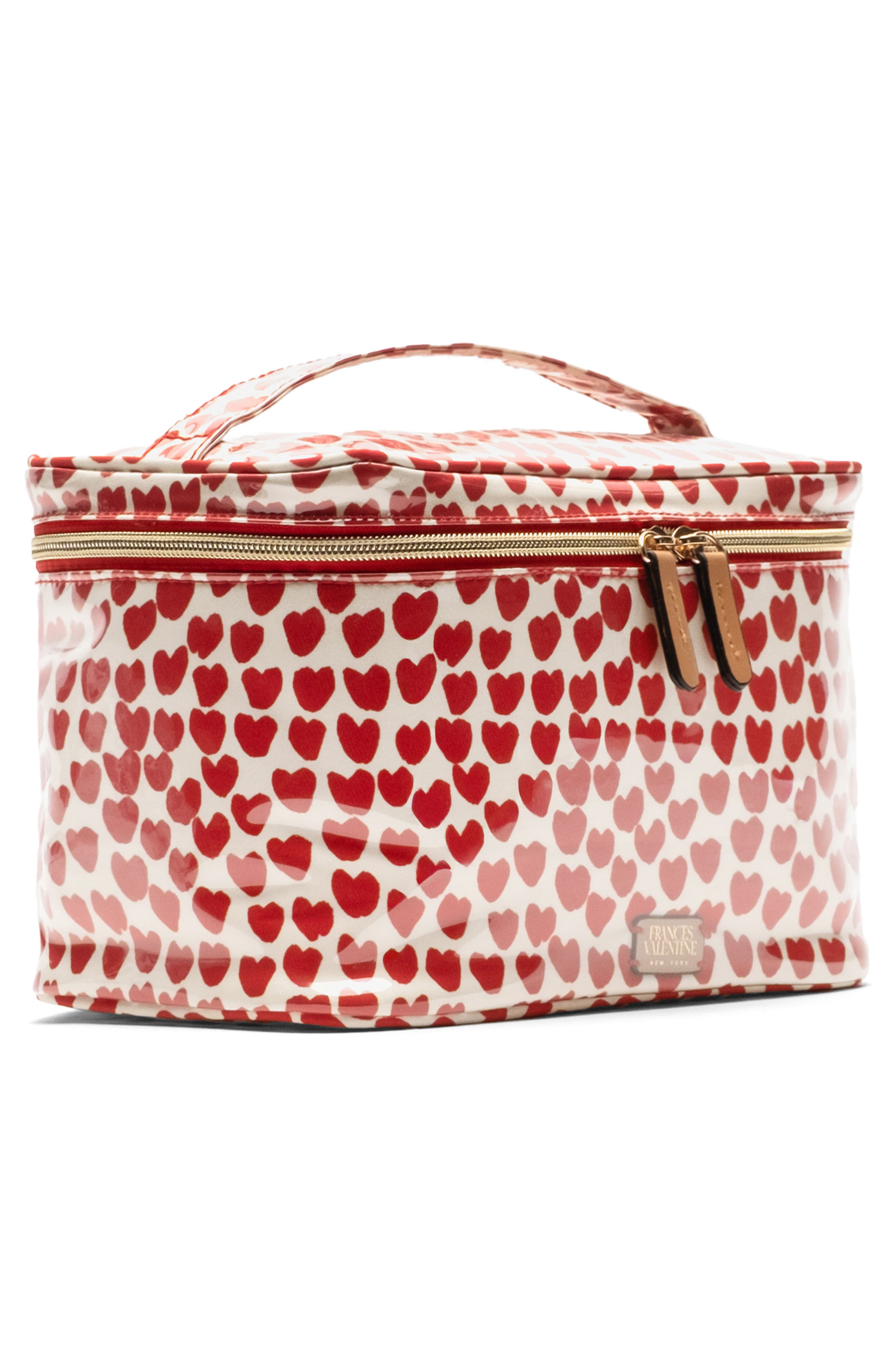 Frances Valentine Cosmetics Train Case, Alternate, color, 