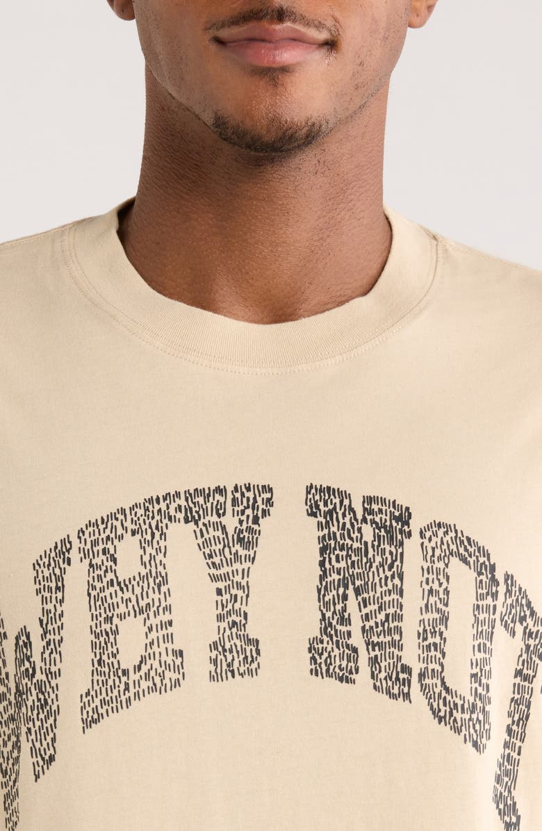 HONOR THE GIFT Why Not Long Sleeve Graphic T-Shirt, Alternate, color, Sand