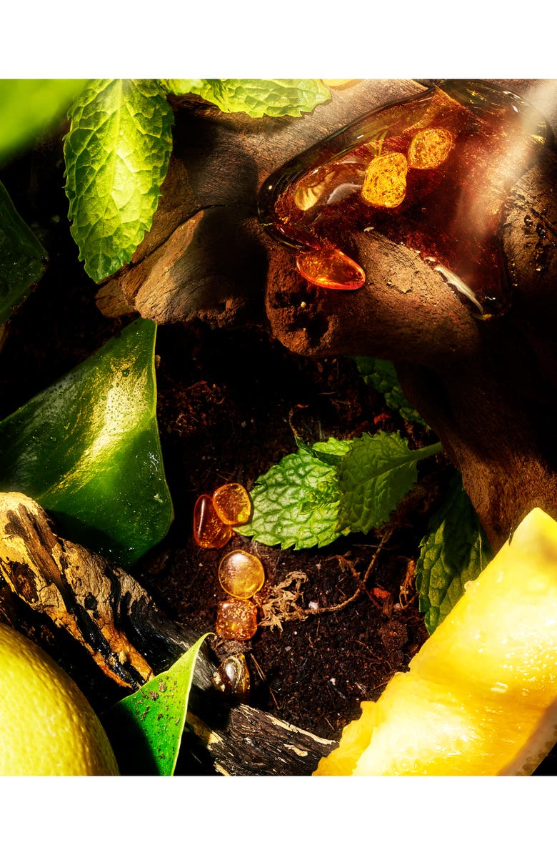 ROJA Apex Eau Intense Eau de Parfum, Alternate, color, 