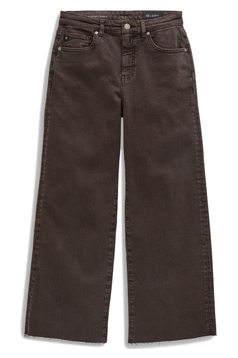 Saige Raw Hem Ankle Wide Leg Jeans, Alternate, color, SULFUR BURNT UMBER