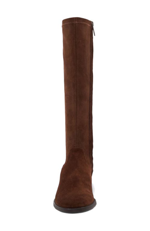 Aquatalia Sabrena Water Resistant Knee High Boot In Brown