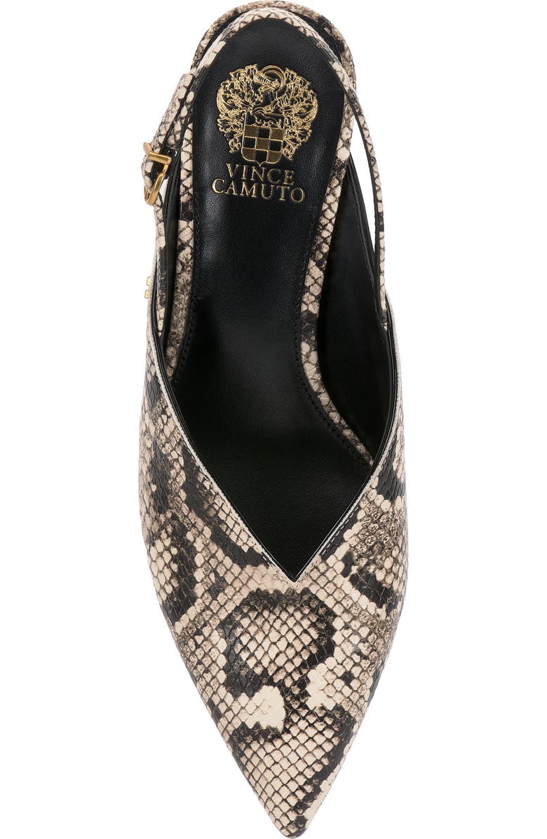 Vince Camuto Kylien Slingback Pointed Toe Pump, Alternate, color, Black Cream