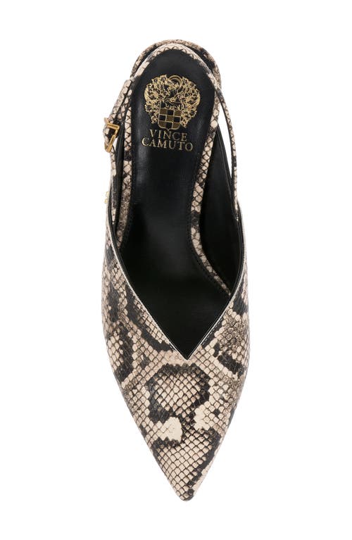 Vince Camuto Kylien Slingback Pointed Toe Pump