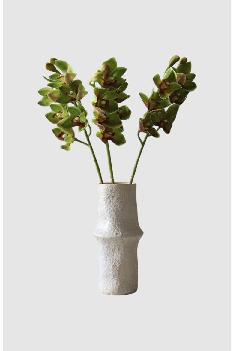 Light Green Cymbidium Orchid Flower, Alternate, color, Light Green