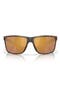  Matte Tortoise / Gold 580G