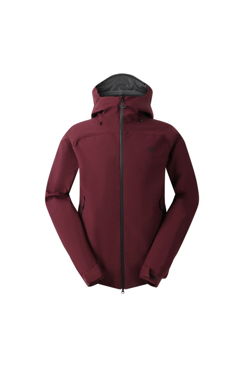 Roving Iii Waterproof Ski Jacket, Main, color, Fig