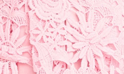 Endless Rose 3d Appliqué Strapless Midi Dress