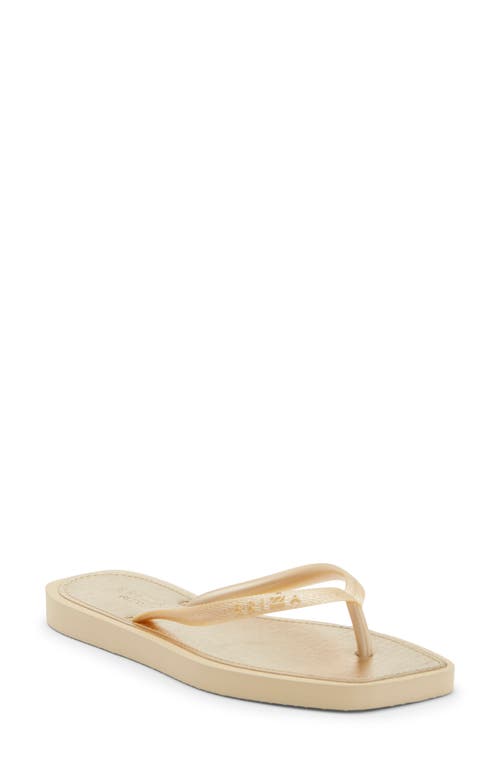 BRIZZA Metallic Flip Flop in Platino at Nordstrom, Size X-Large