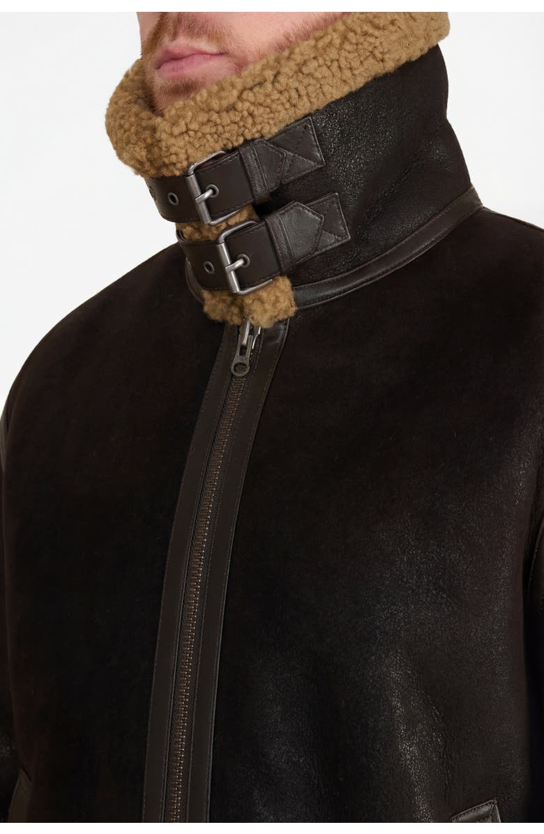 FURNIQ UK Frederick Shearling Aviator Jacket, Alternate, color, Brown