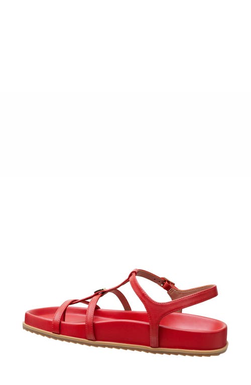Shop Linea Paolo Lilith Ankle Strap Sandal In True Red
