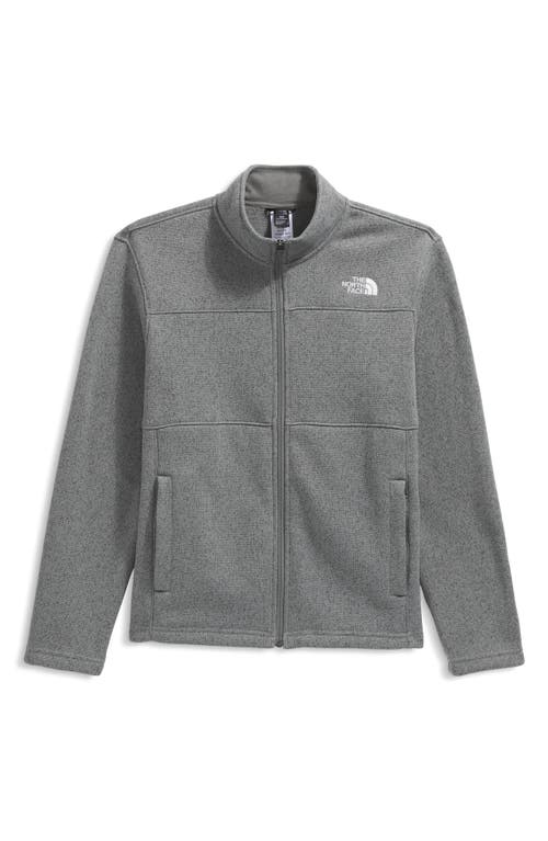 The North Face Gordon Lyons Full Zip Jacket In Gray